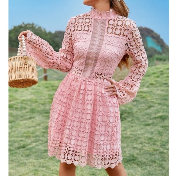 Luxurious mesh insert lace dress - Picture 3 of 6